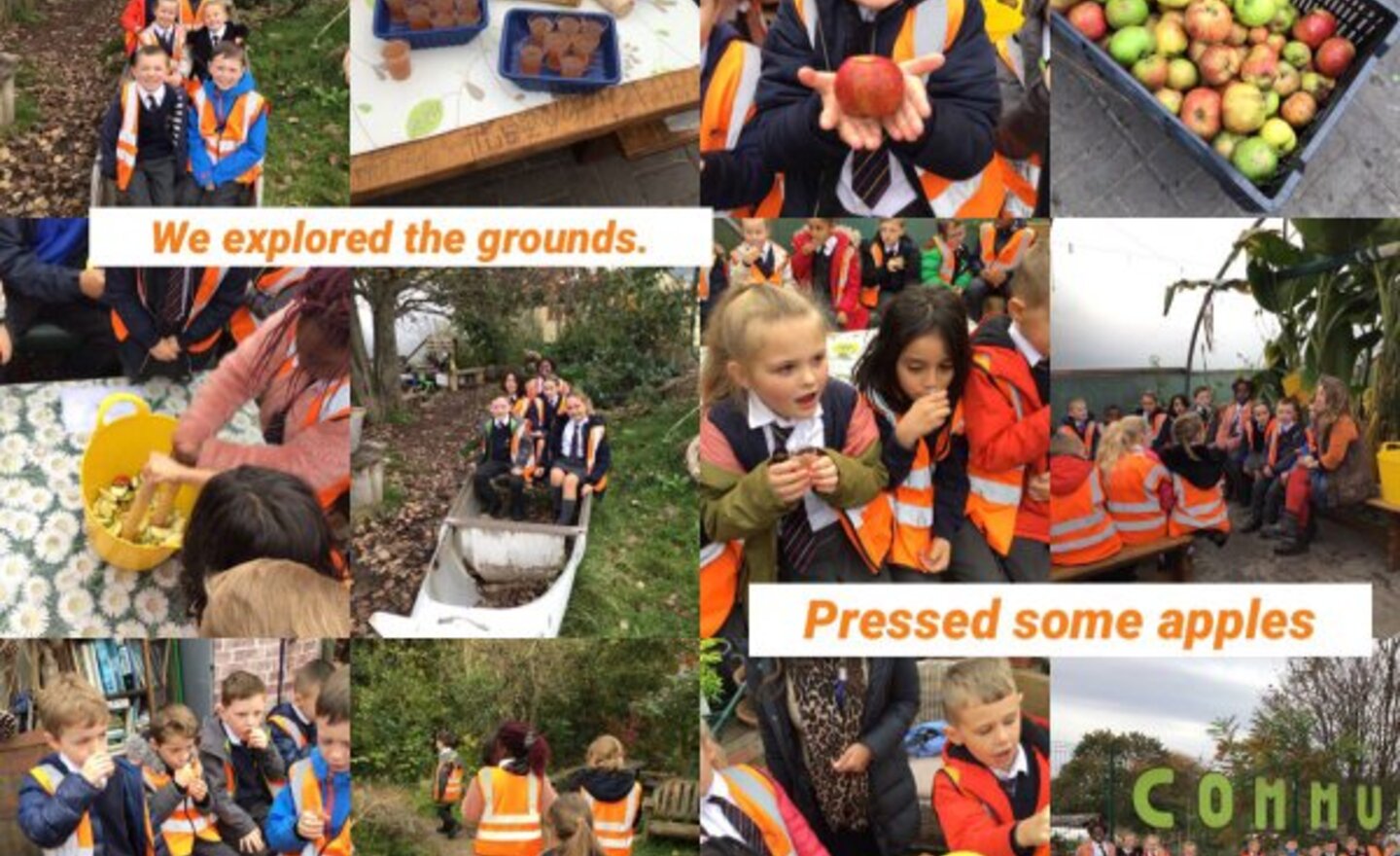 Image of Friday 25th October