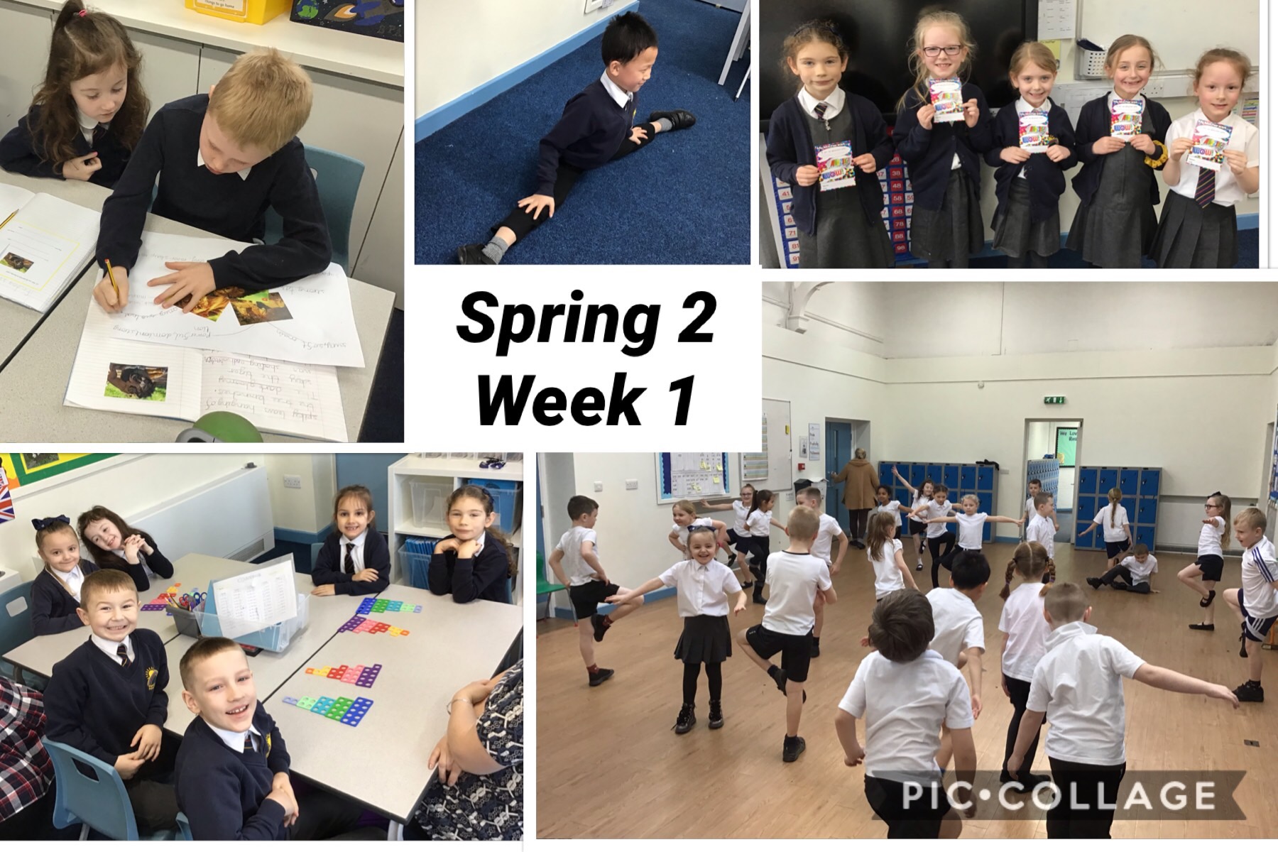 Image of 2A Spring 2 Week 1