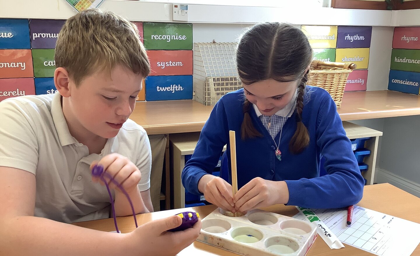 Image of Darwin’s natural selection