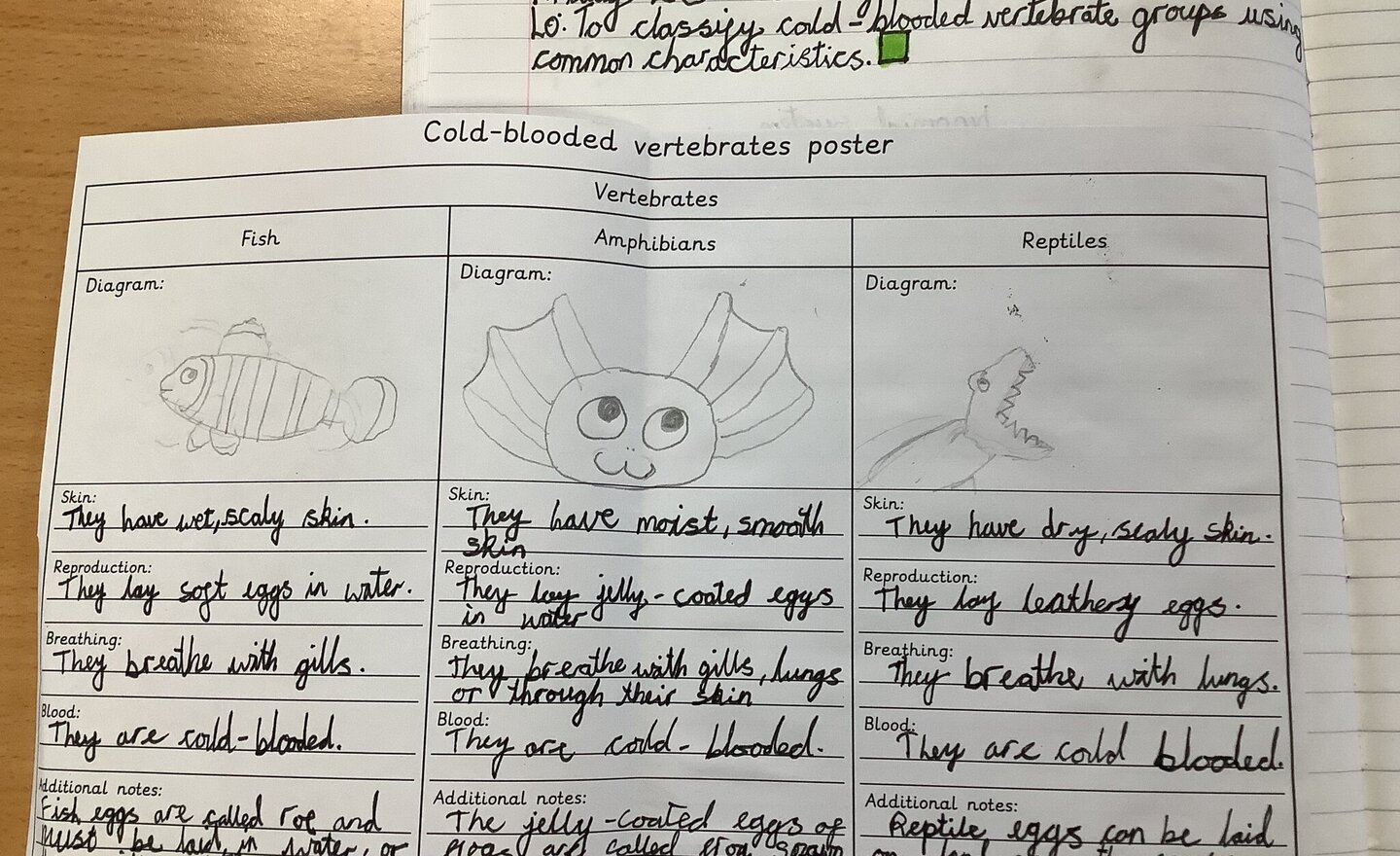 Image of Science: Classifying cold-blooded vertebrates