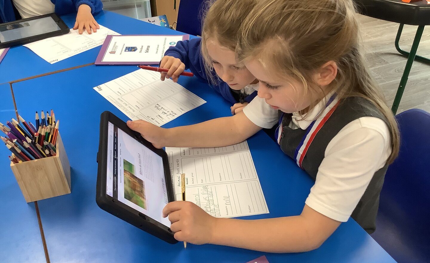 Image of Investigating woodland habitats