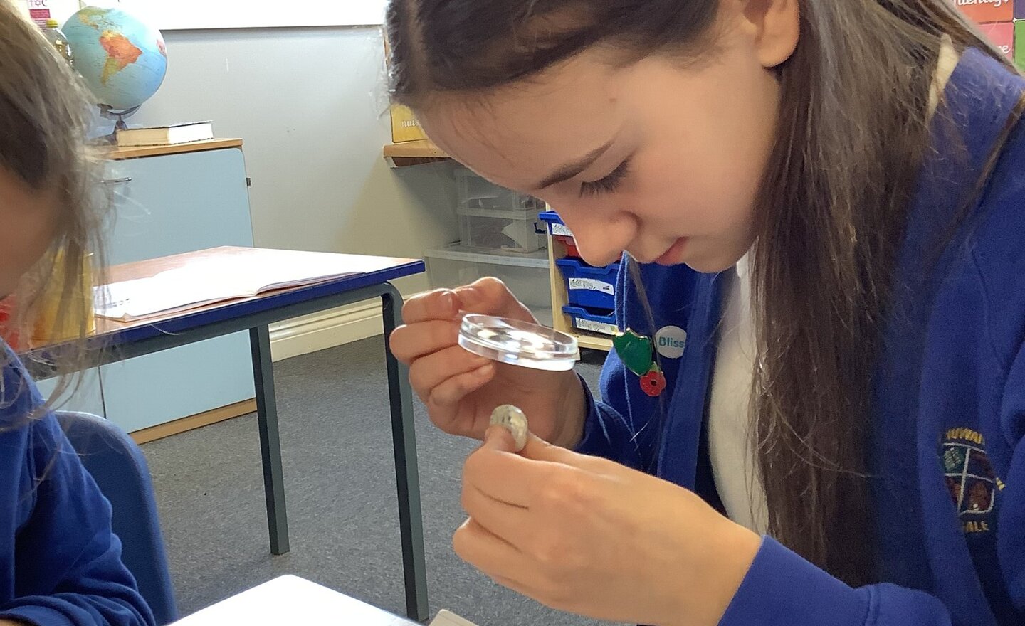 Image of Exploring the hardness and uses of materials