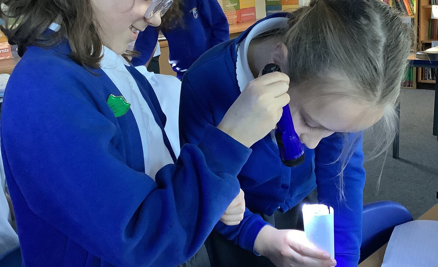 Image of Pathways of Light