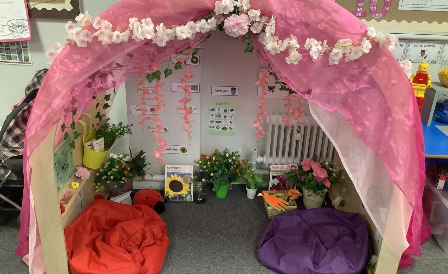 Image of Investigating how flowers grow