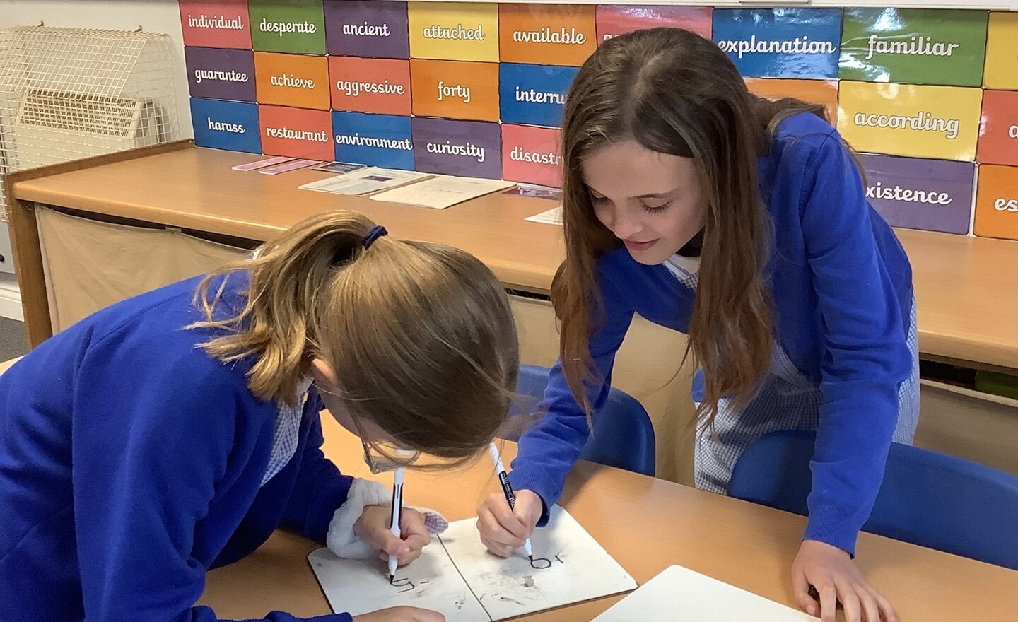 Image of Active maths 05.06.2024