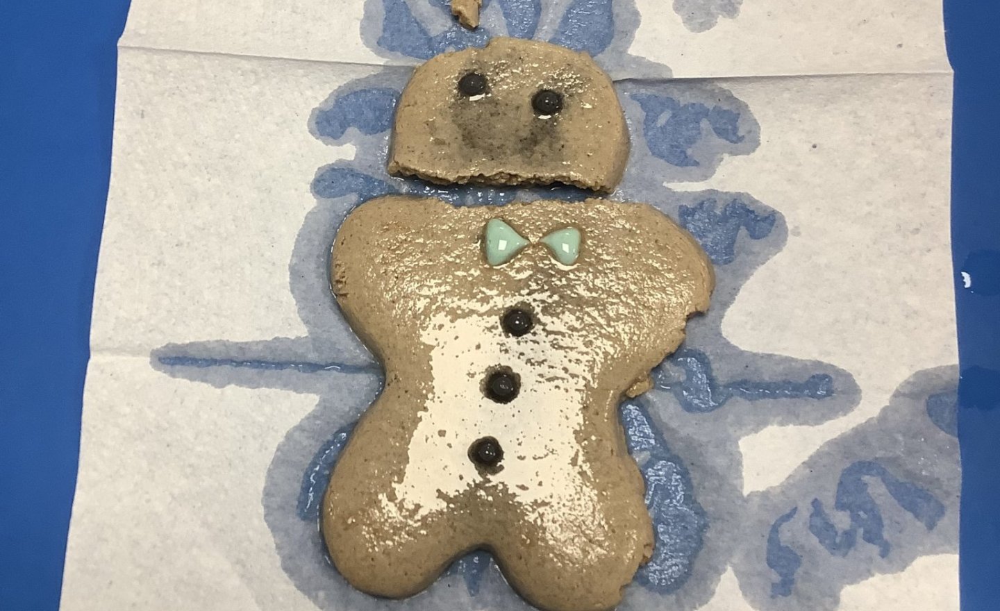 Image of Is The Gingerbread Man waterproof? 