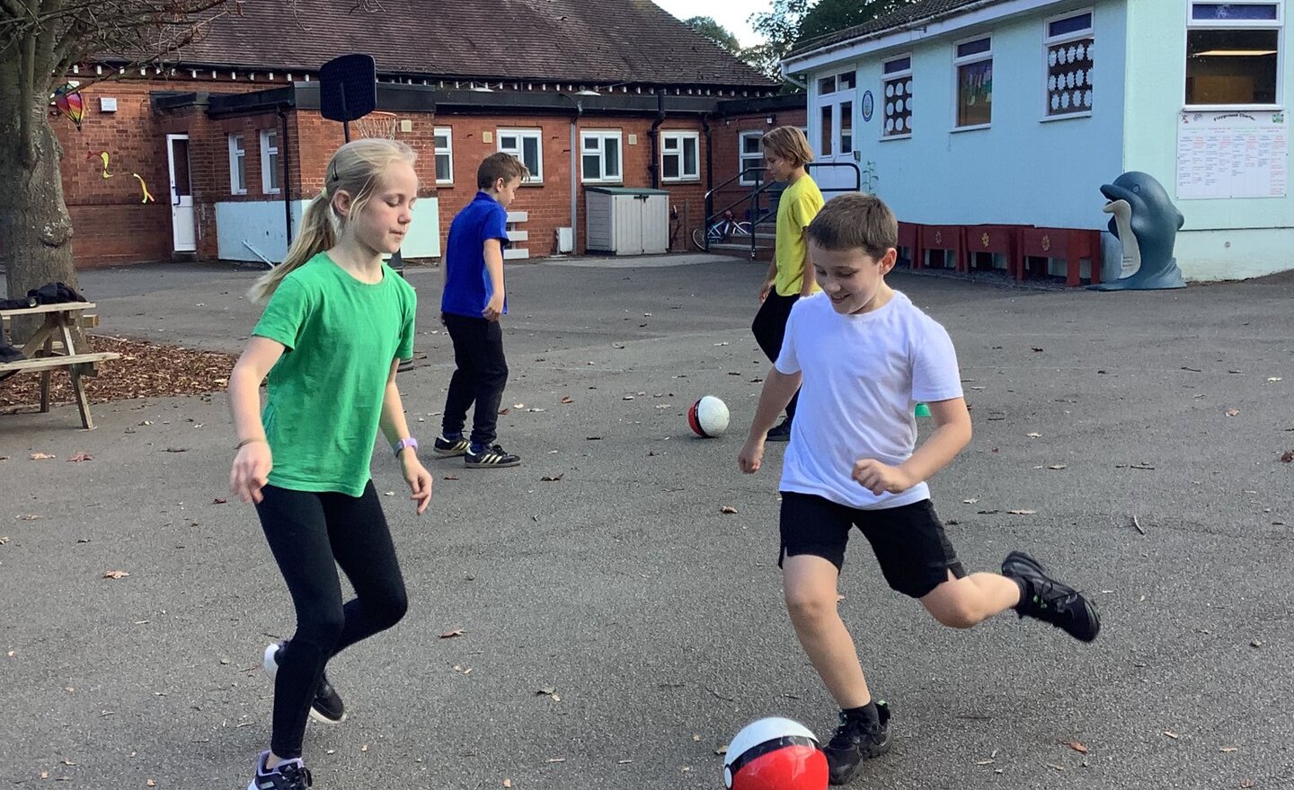 Image of Ball Skills