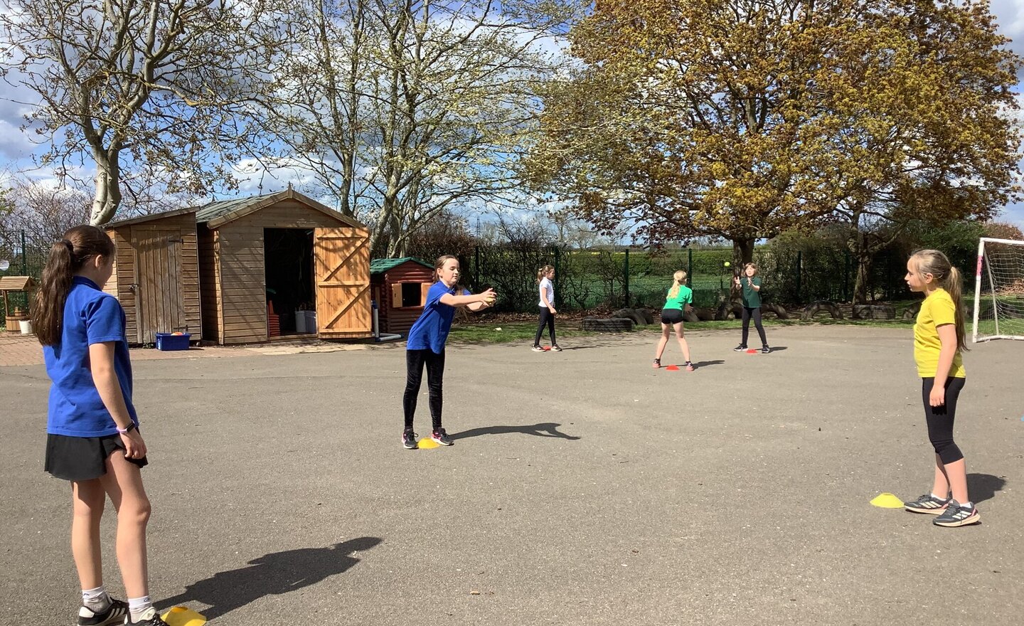 Image of Fielding skills