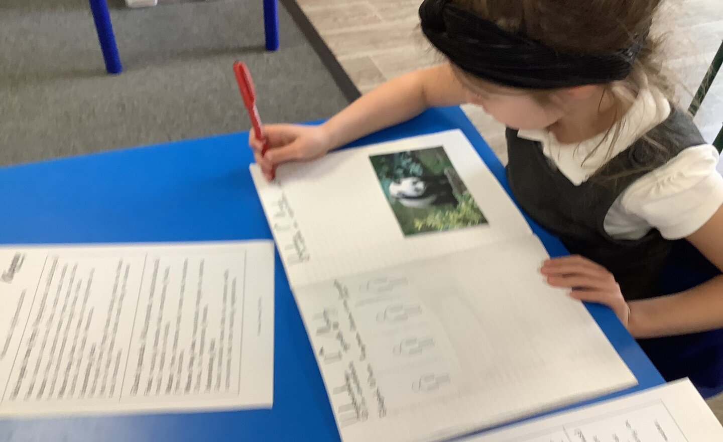 Image of What do animals need to survive?