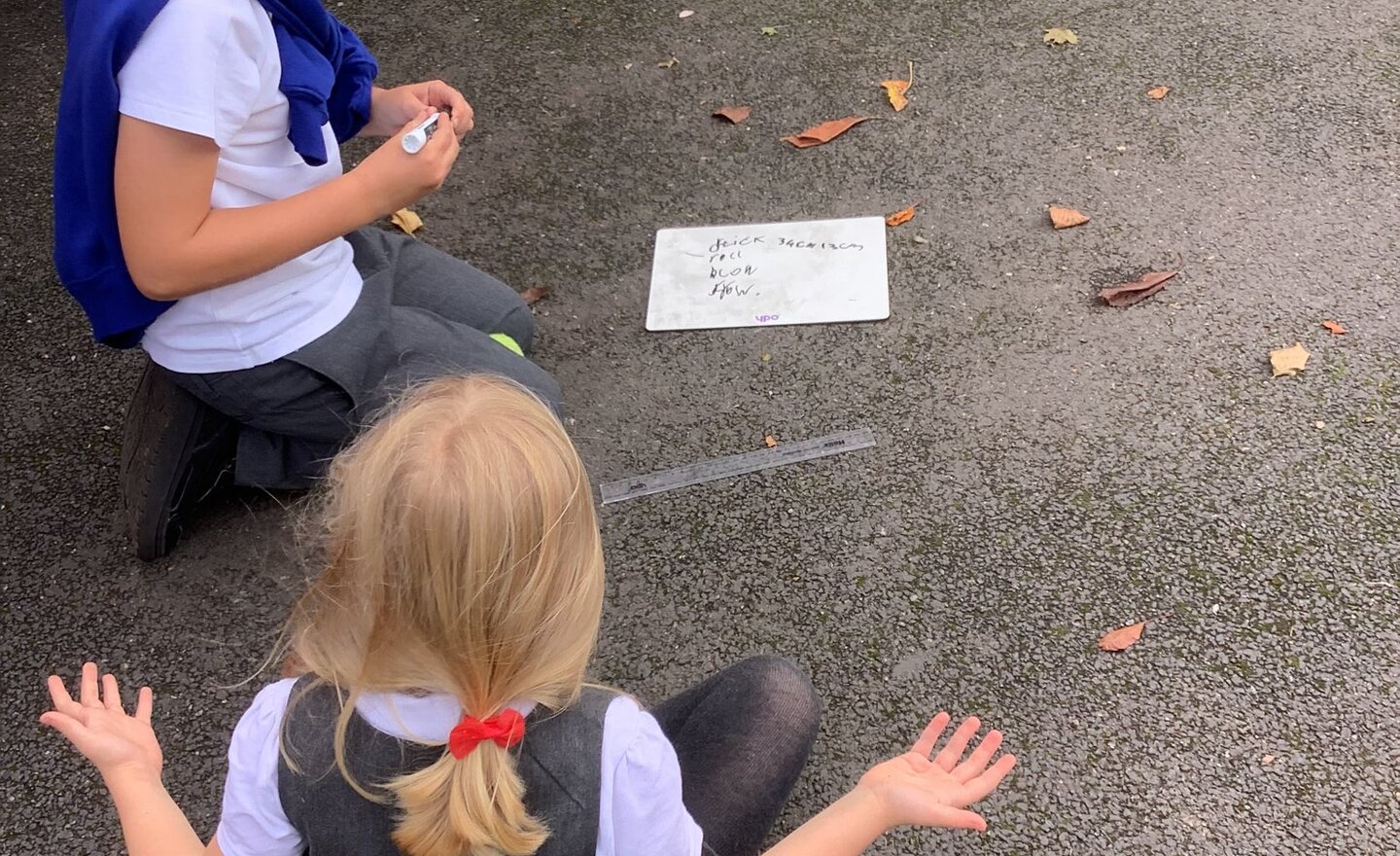 Image of Contact Forces