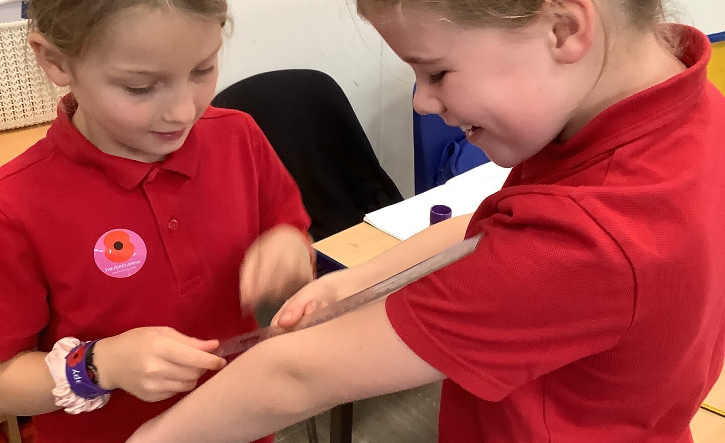 Image of Measuring our Bones!