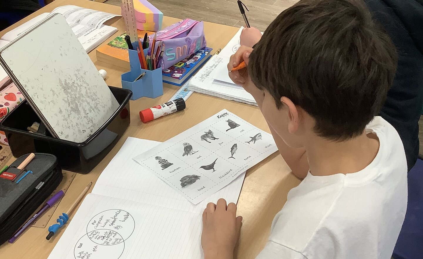 Image of Grouping Living Things: Vertebrates and Invertebrates 