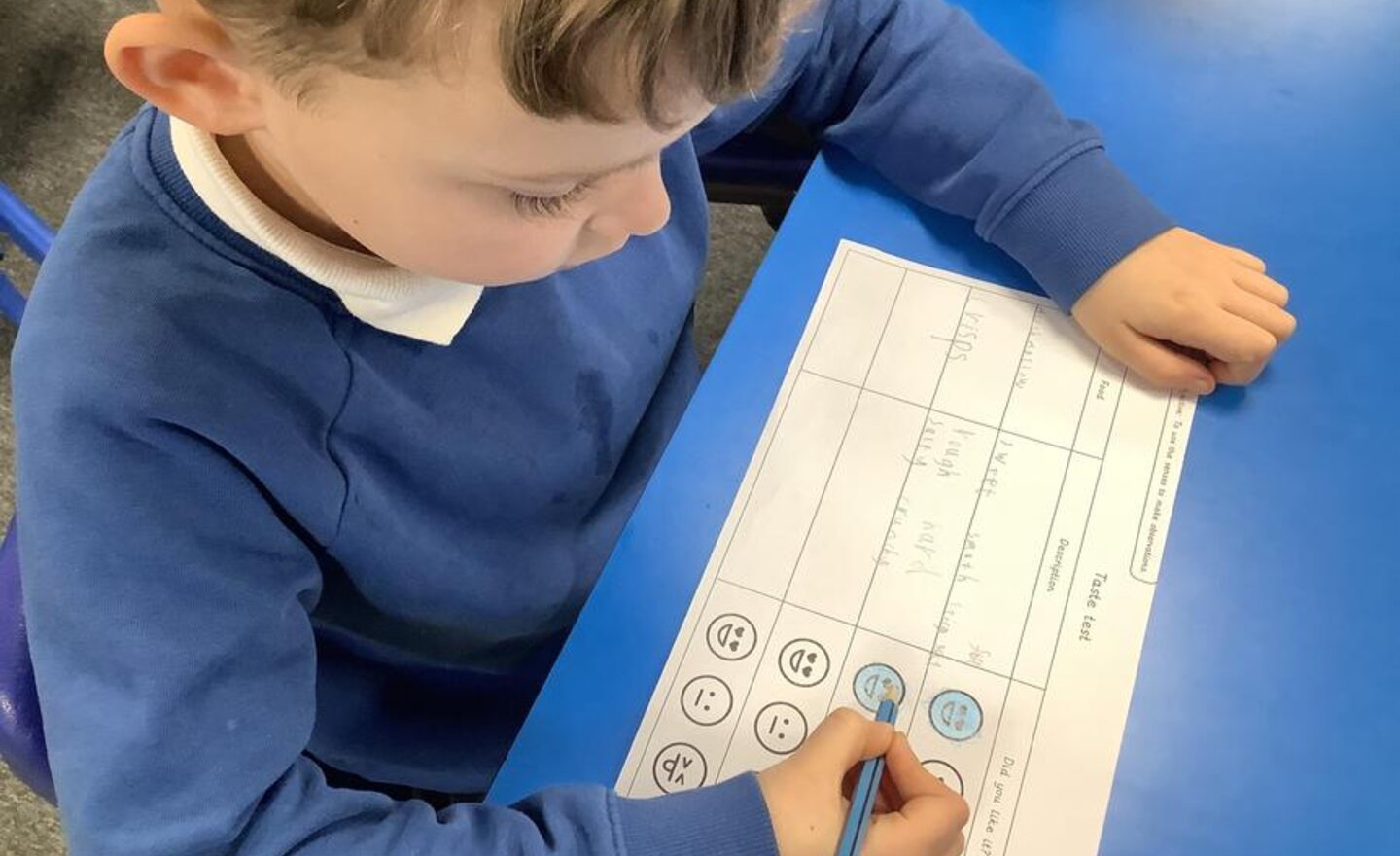 Image of Investigating our sense of taste