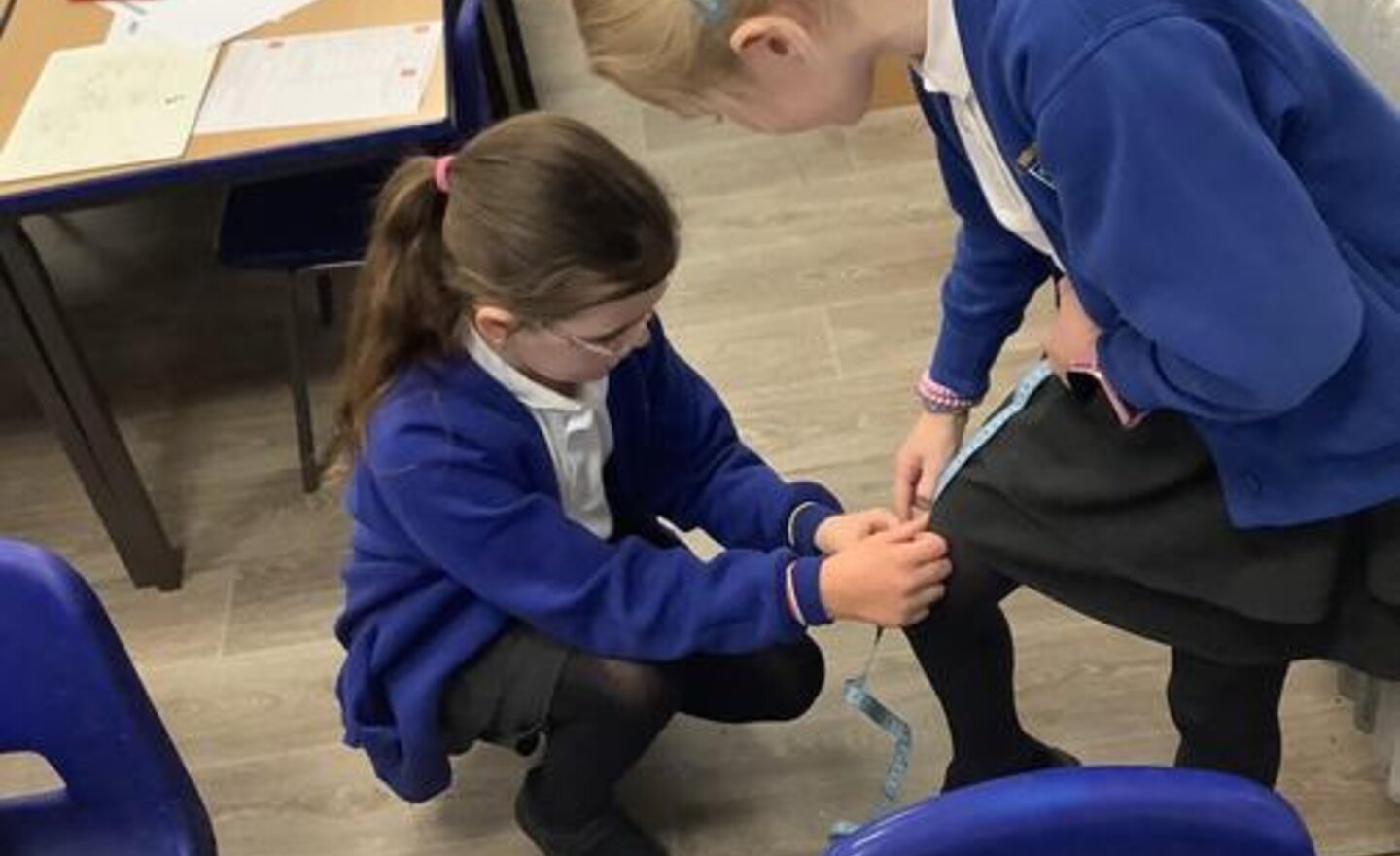 Image of Different bones in the body