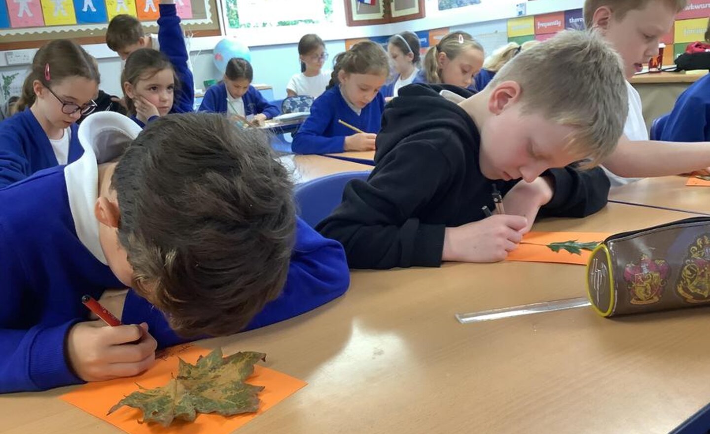 Image of ‘Leaf thanks’ pages