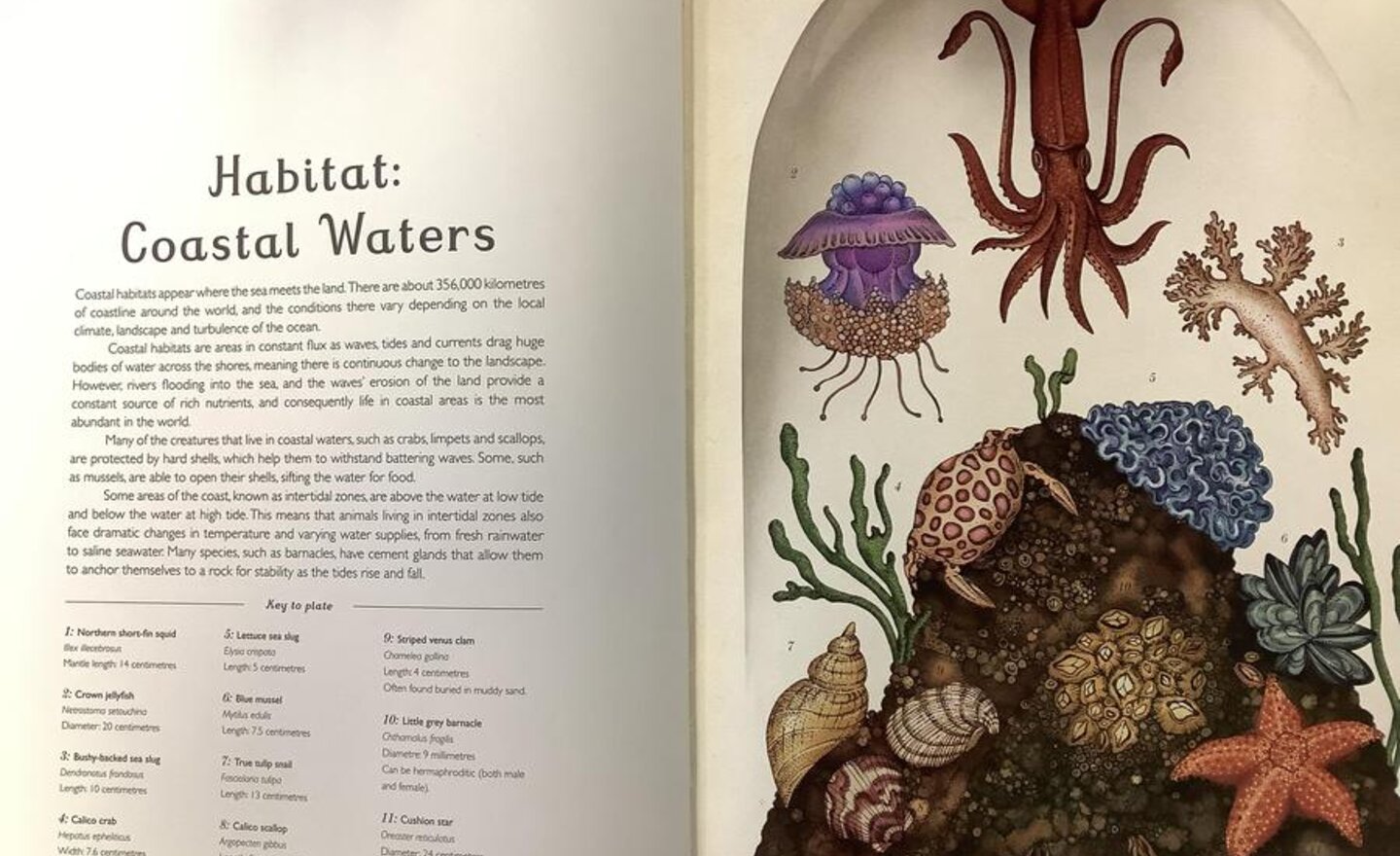 Image of Non-chronological report preparation 