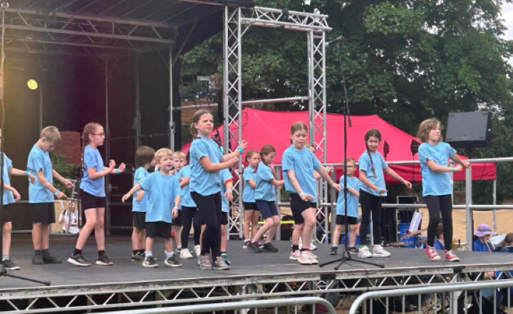 Image of Tamworth Arts Festival- Mease performance