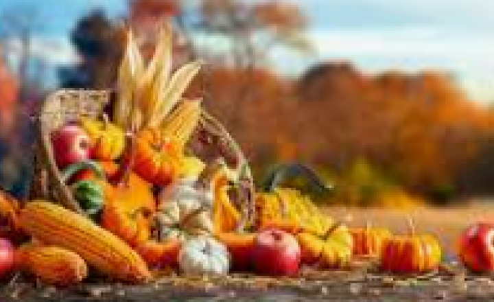 Image of Harvest Worship in church - all welcome!