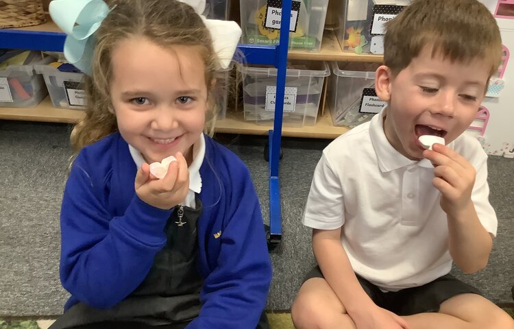 Image of Our five senses: taste