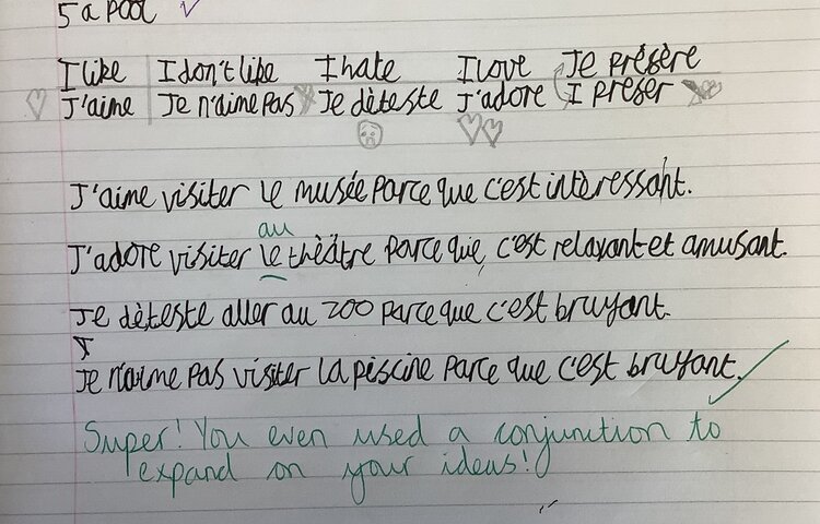 Image of Justifying opinions in French!