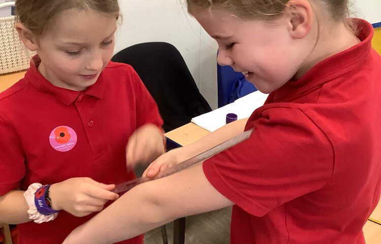 Image of Measuring our Bones!