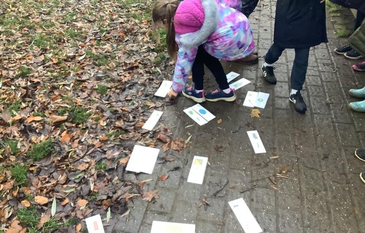 Image of Orienteering and map reading