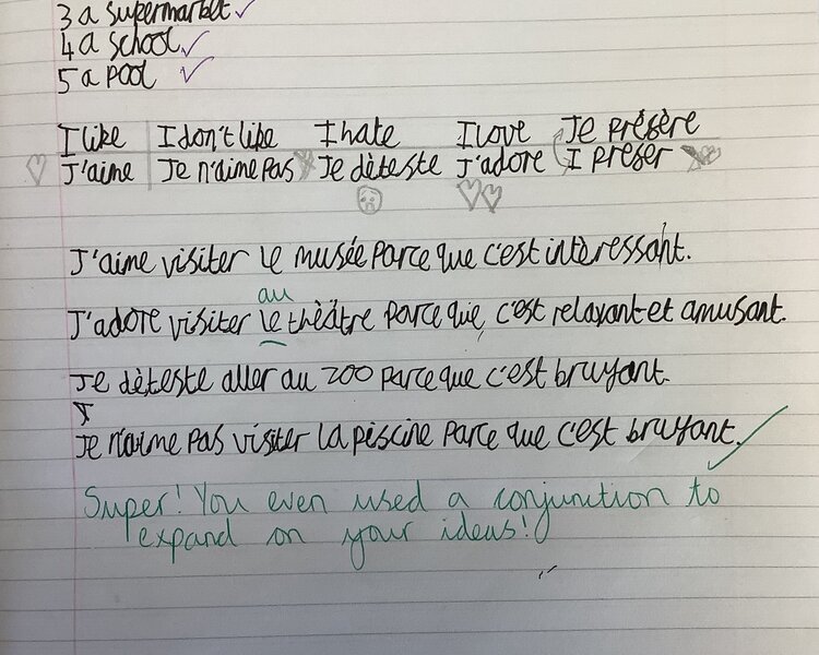 Image of Justifying opinions in French!