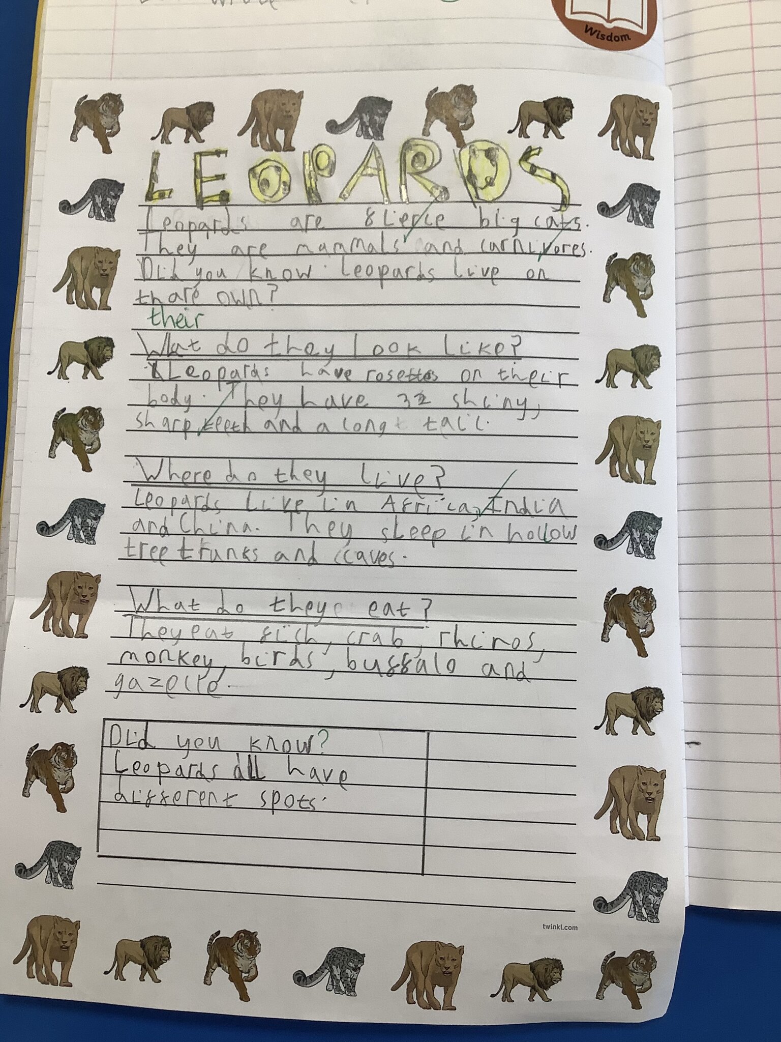 Image of Big Cats