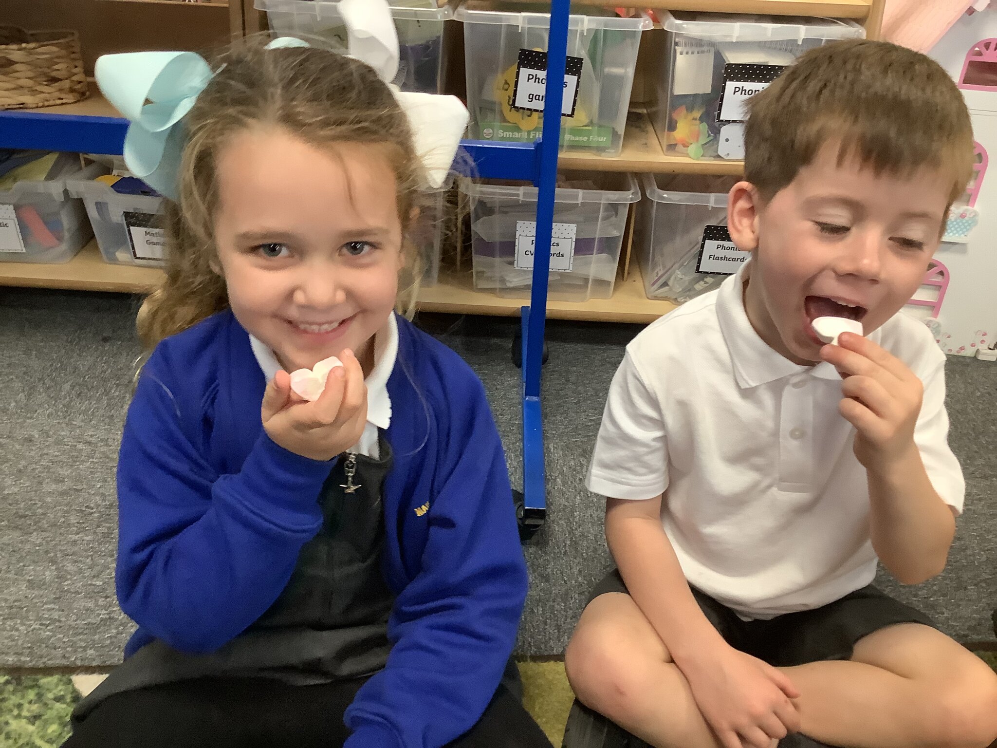 Image of Our five senses: taste