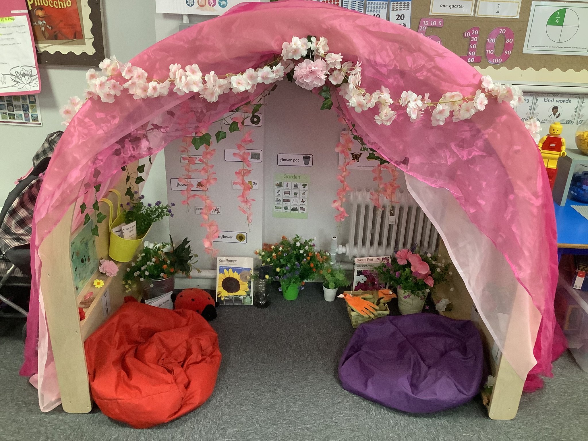 Image of Investigating how flowers grow