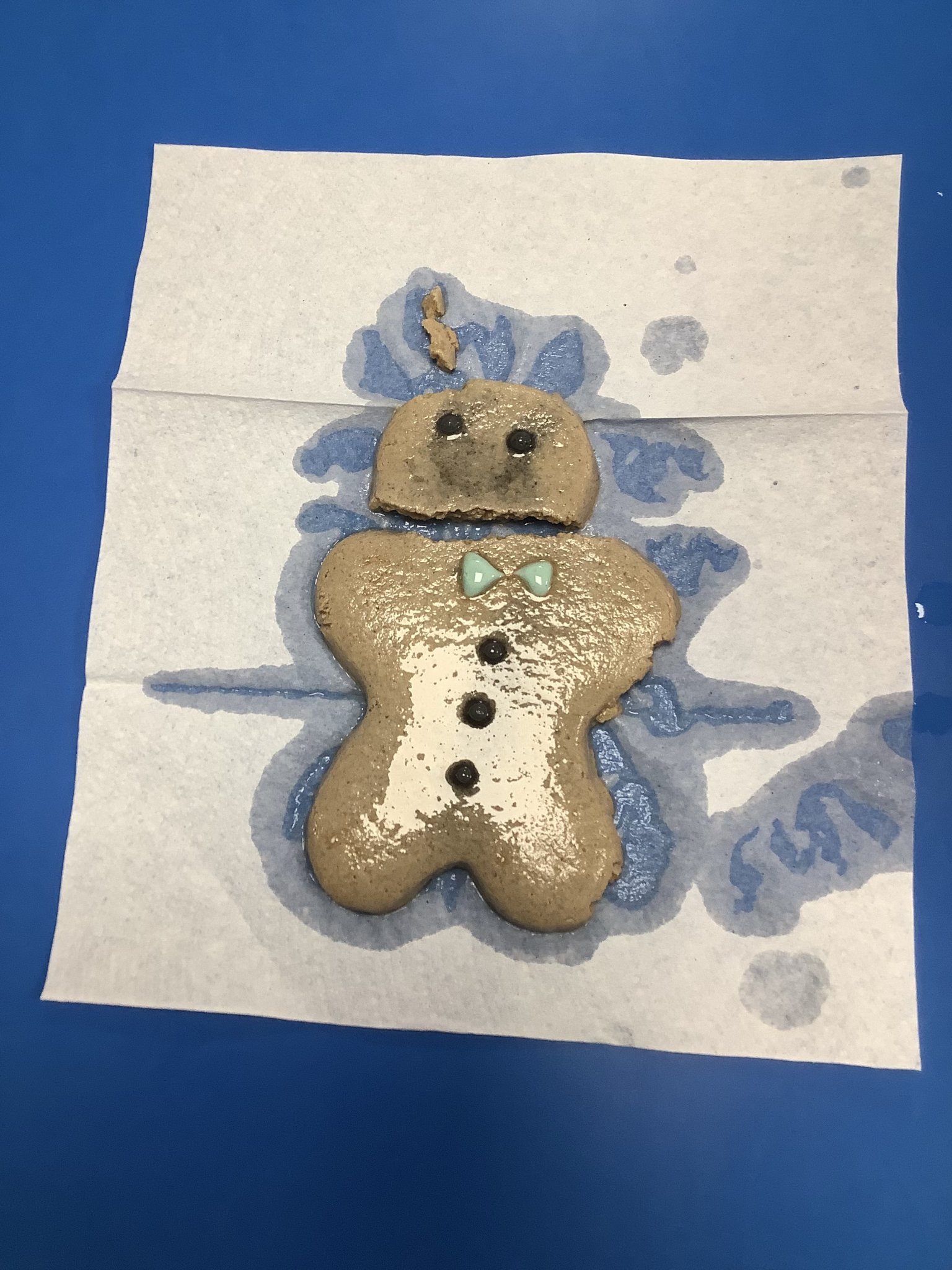 Image of Is The Gingerbread Man waterproof?