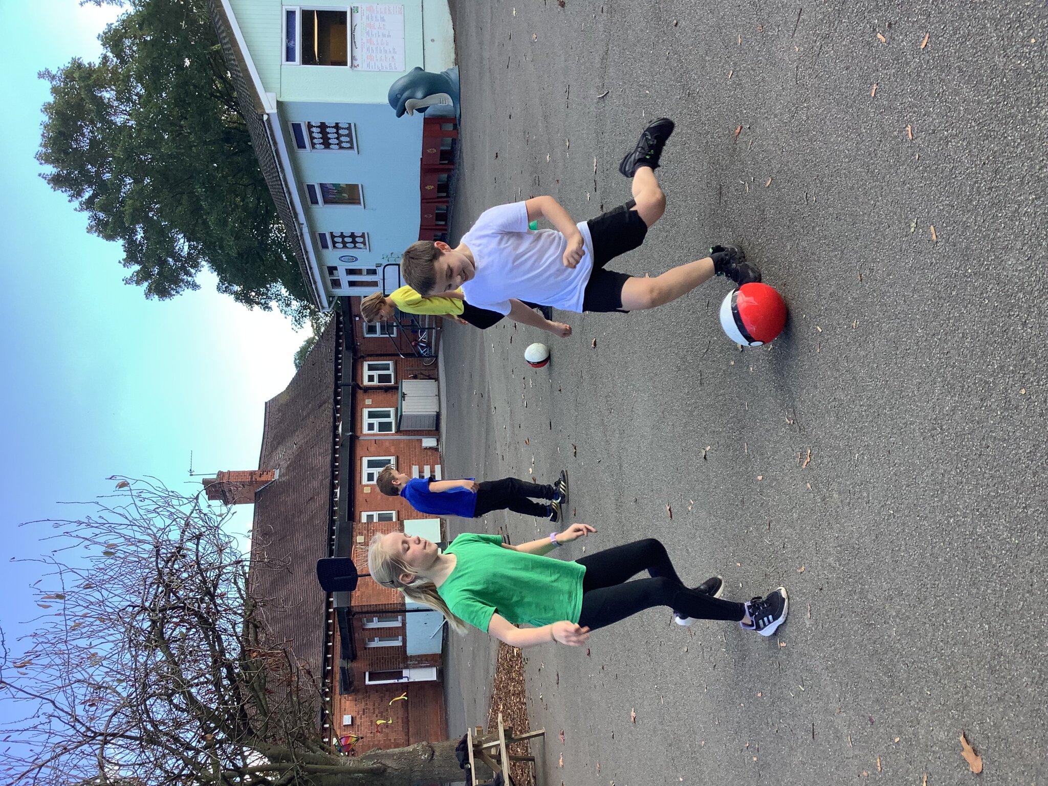 Image of Ball Skills