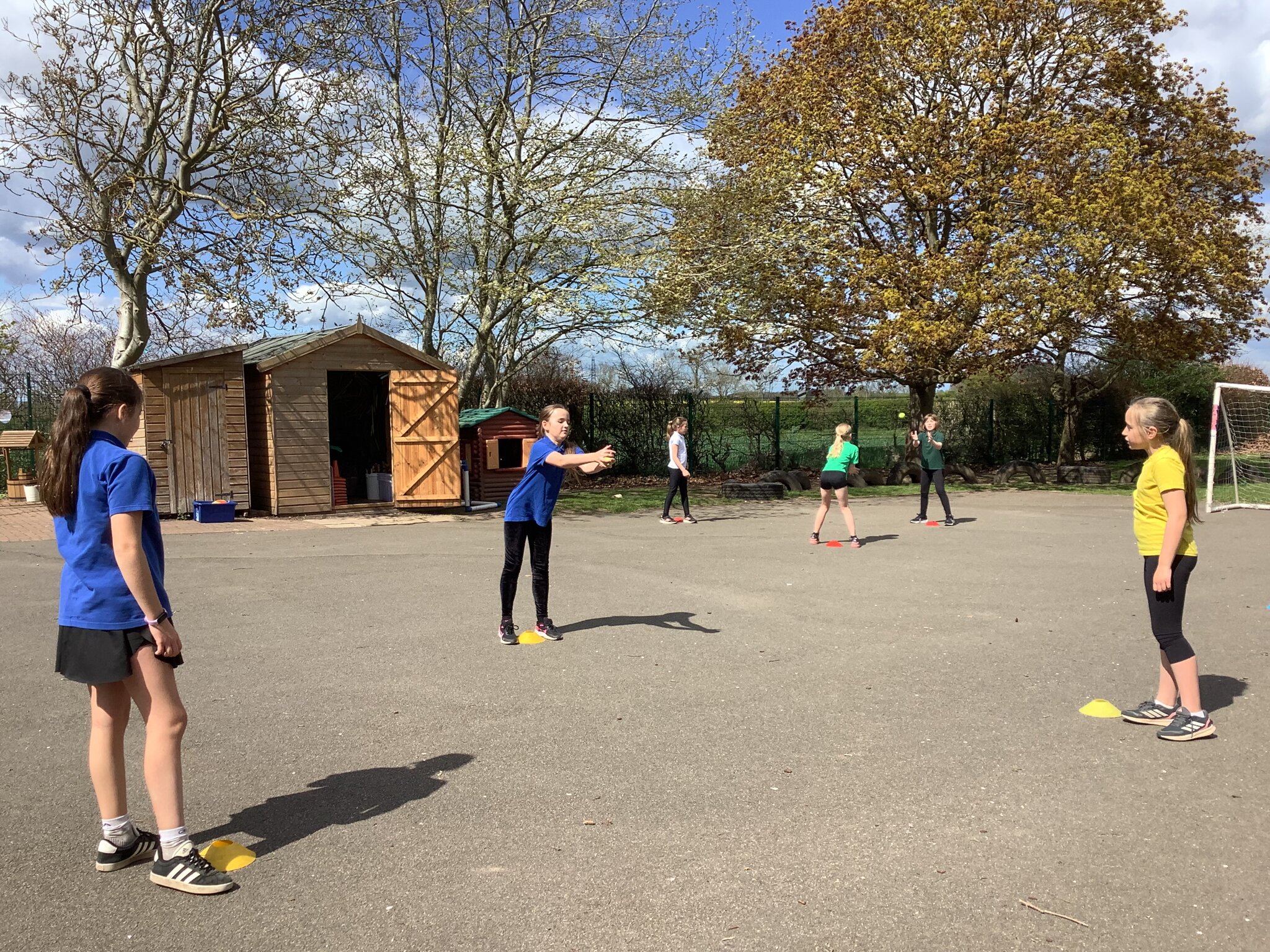 Image of Fielding skills