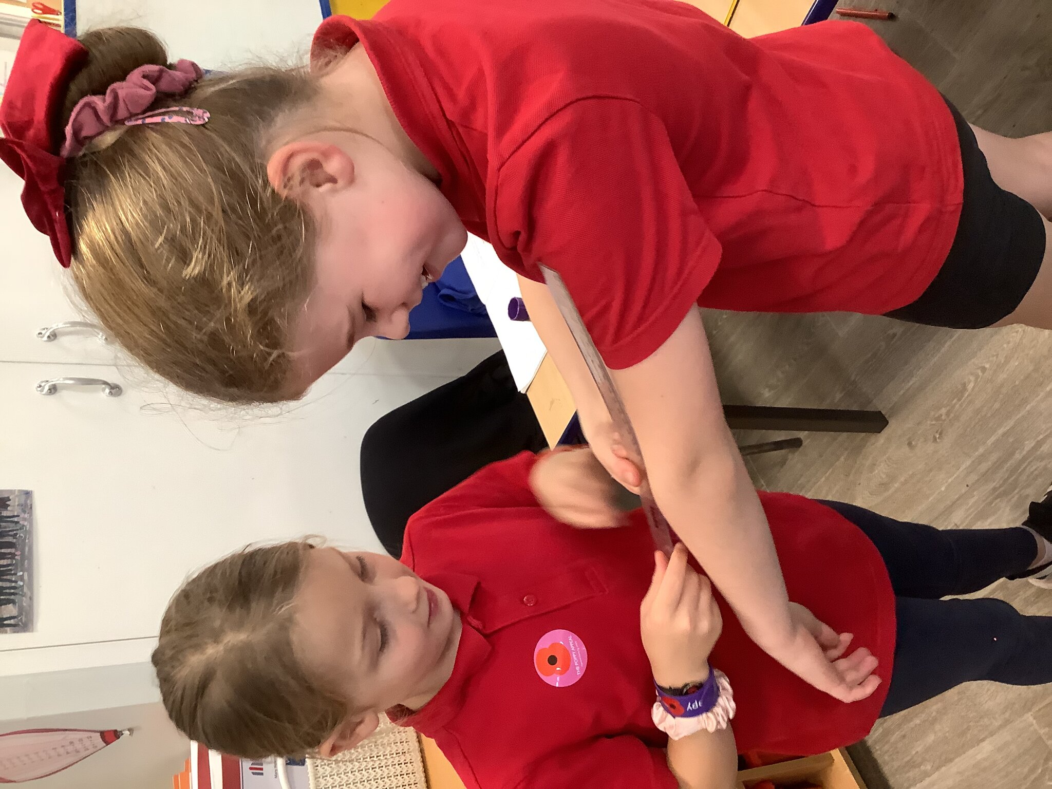 Image of Measuring our Bones!