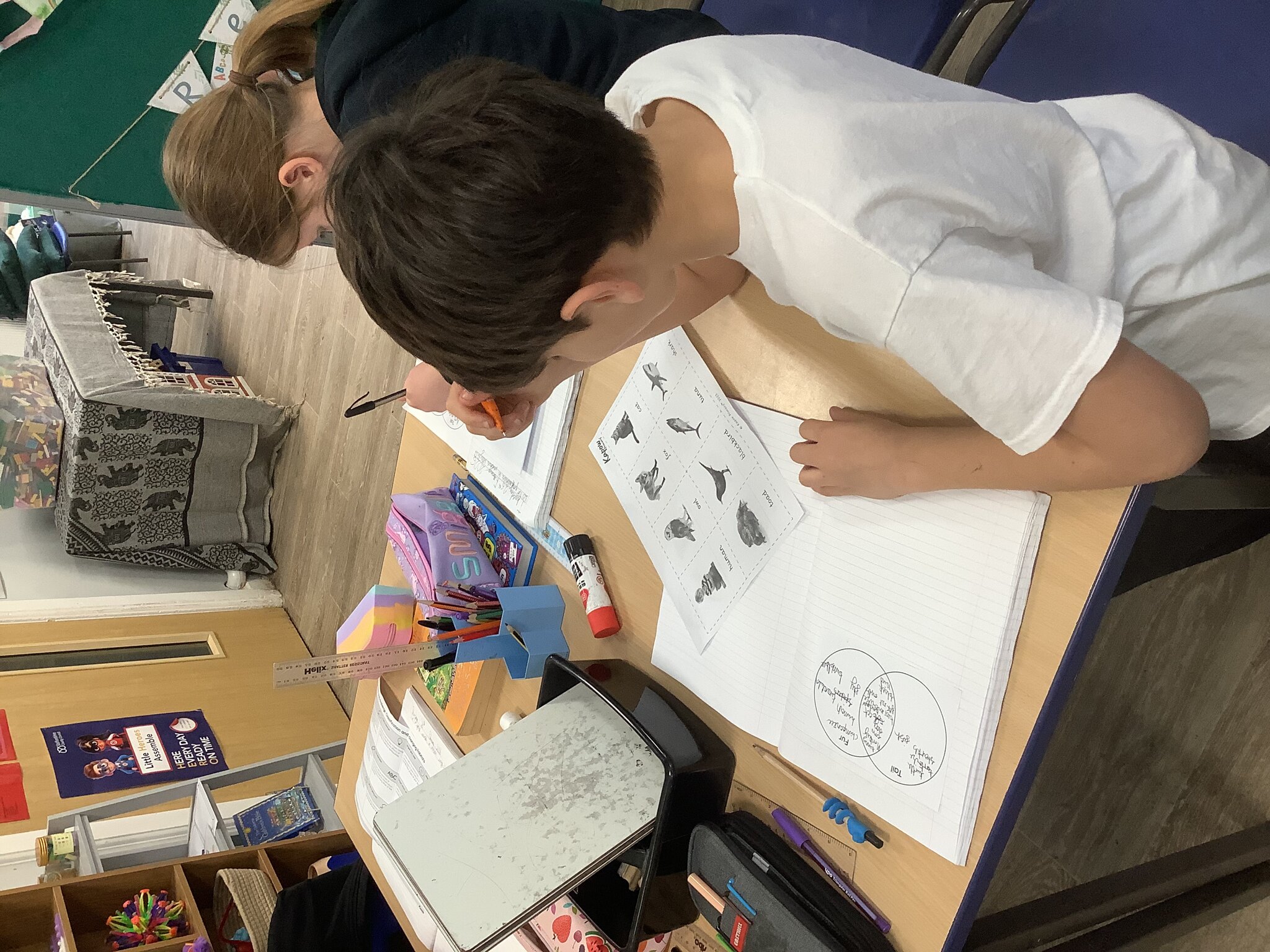 Image of Grouping Living Things: Vertebrates and Invertebrates 