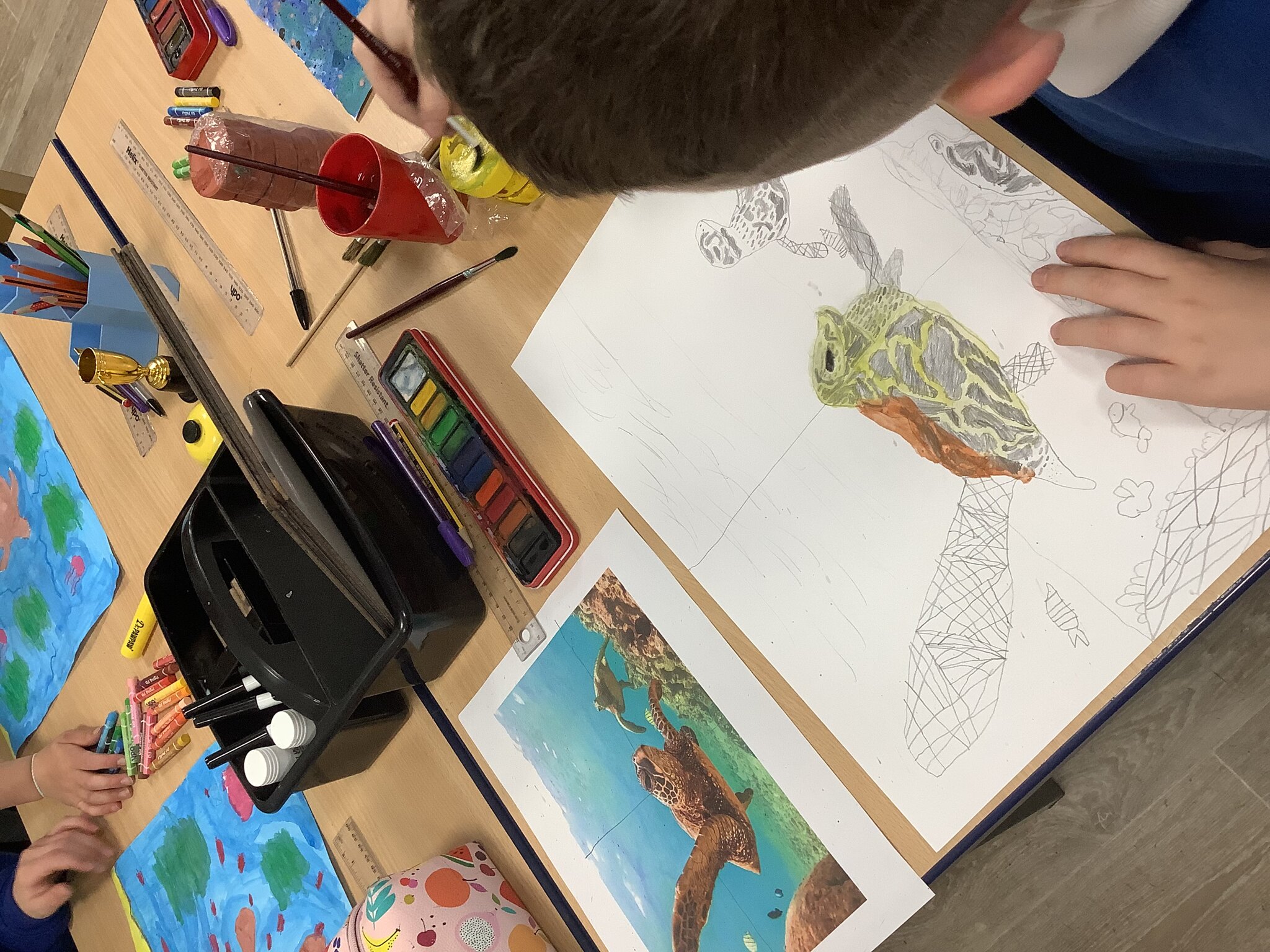 Image of Conservationist Stroke Artist