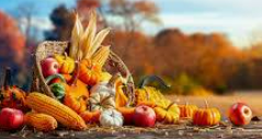 Image of Harvest - at Holy Trinity Church- all welcome!