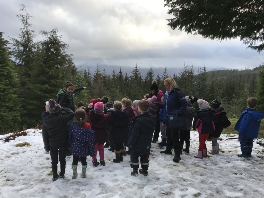 Image of KS1 visit to Whinlatter