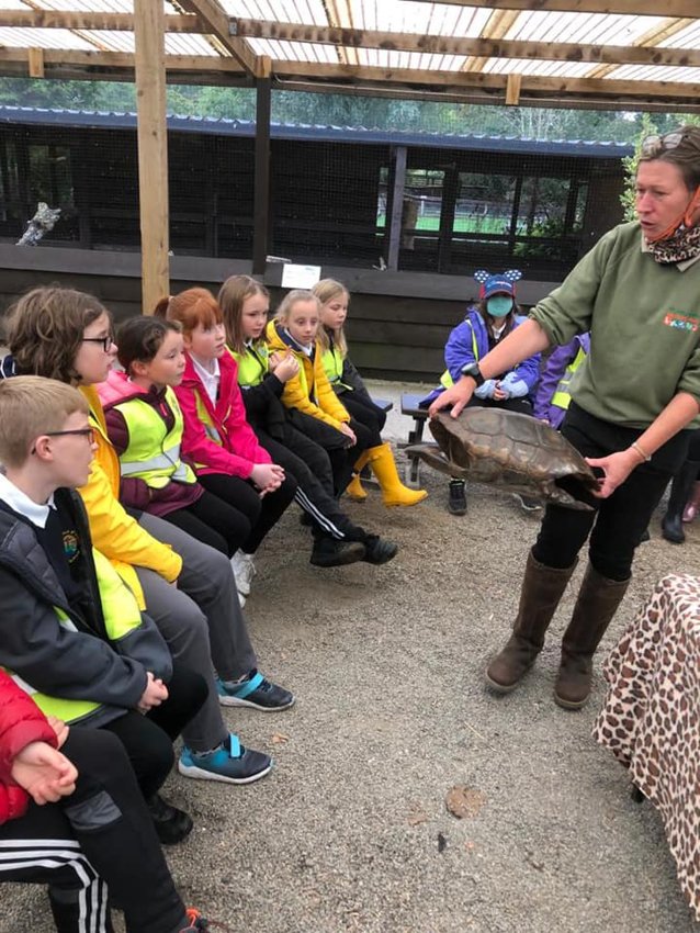 Image of Year 5 visit to the Lake District Wildlife Park
