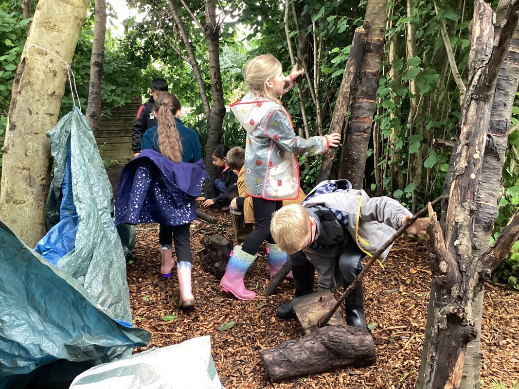 Image of MAT Forest School Session