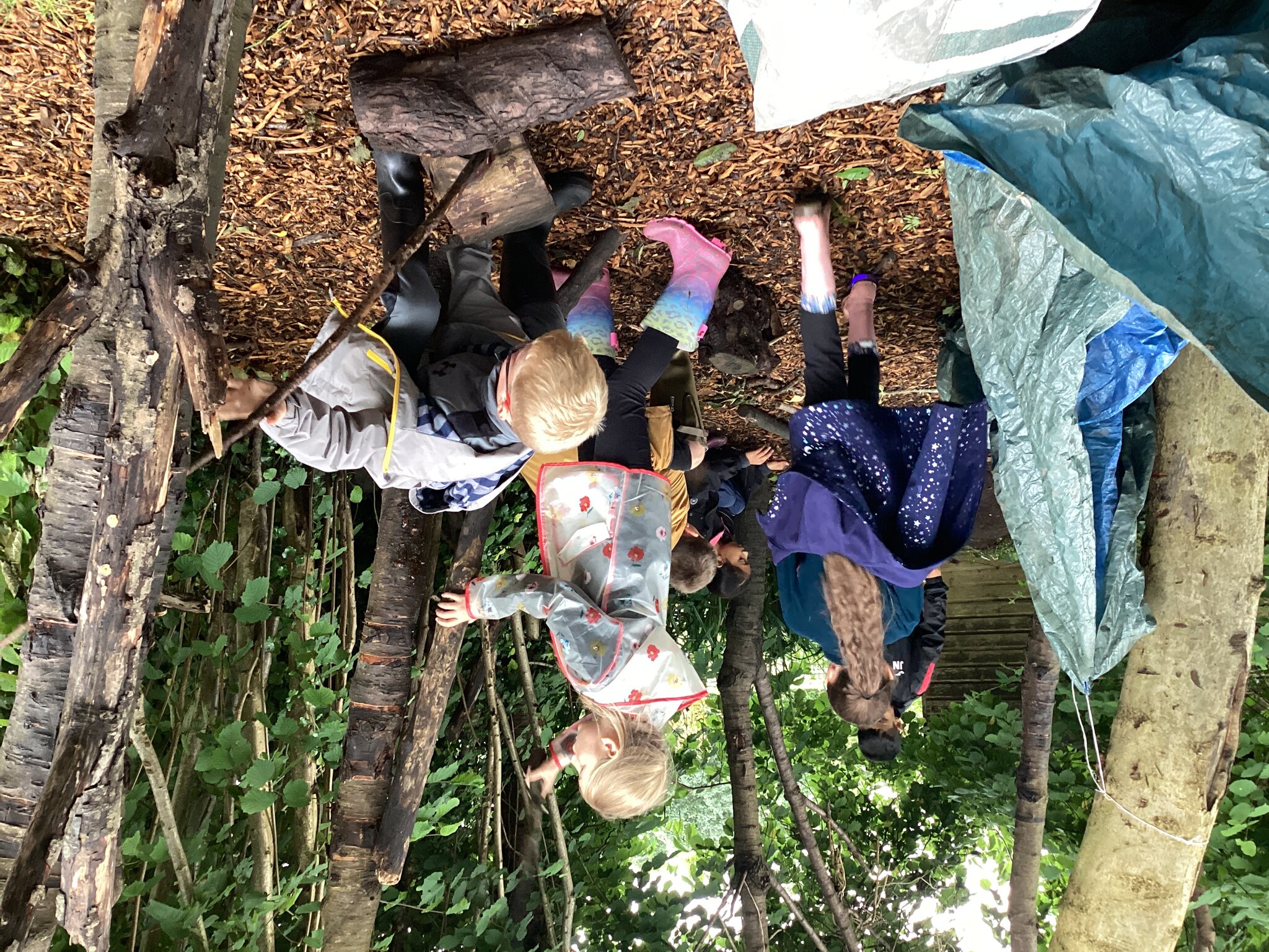 Image of MAT Forest School Session