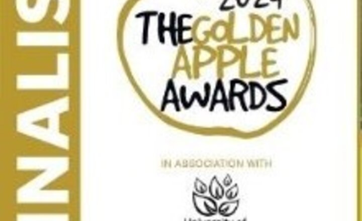 Image of We are Golden Apple Finalists