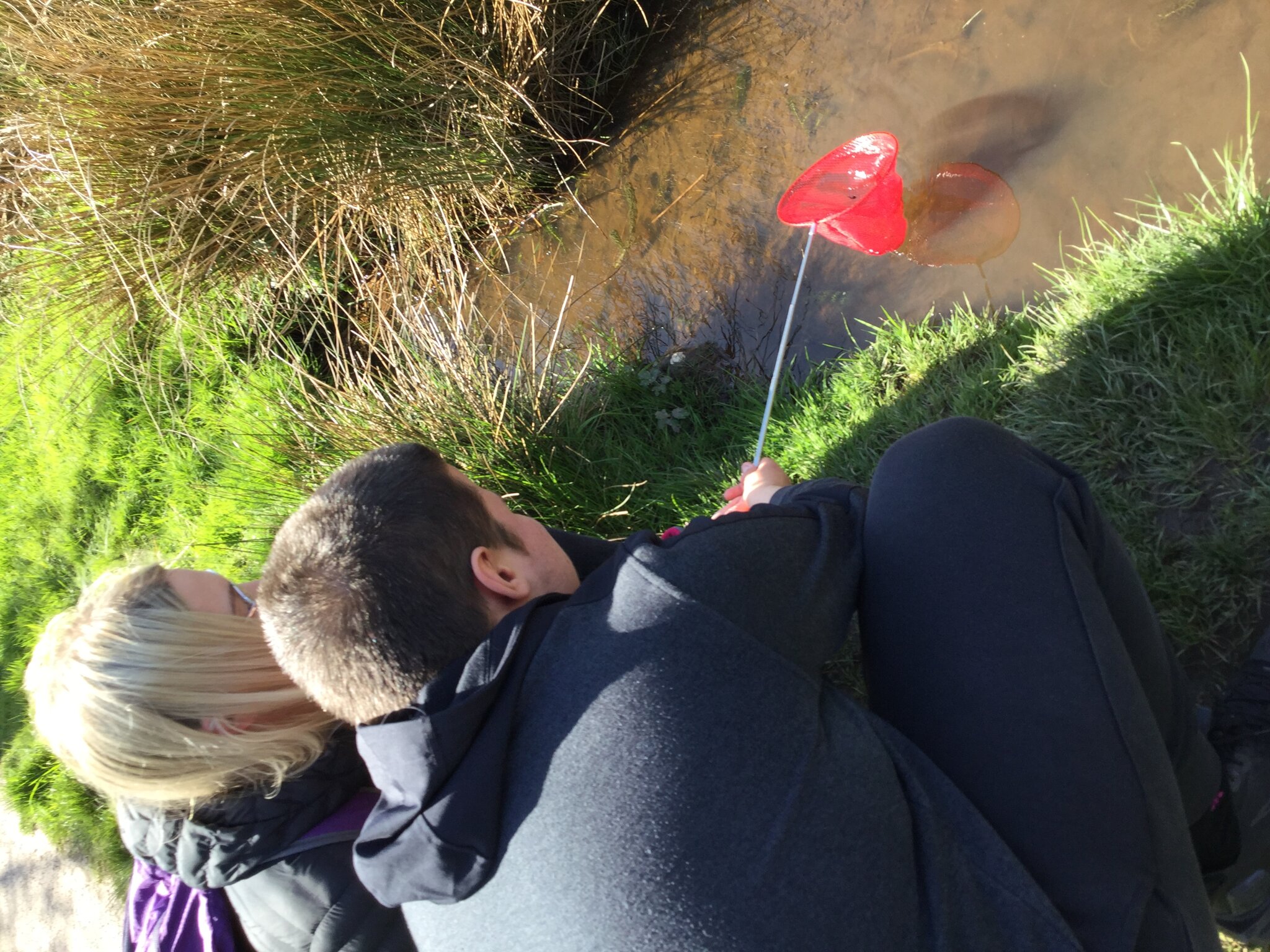 Image of Pond Dipping