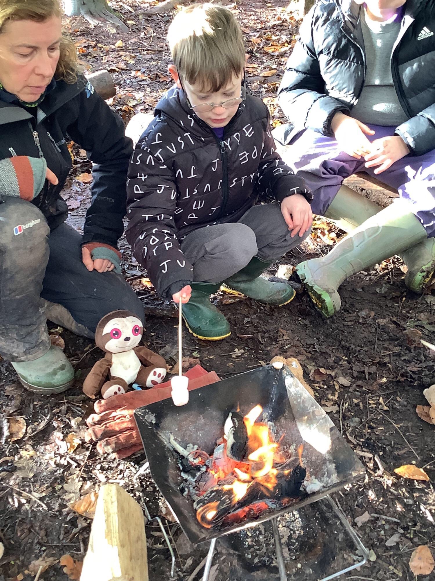 Image of Forest Schools