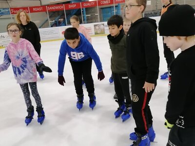 Image of Hawks go ice skating!