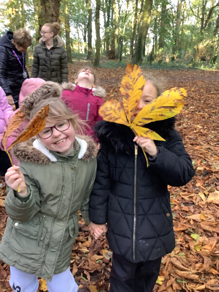 Image of Year 1&2 Trip To Lydiard Park