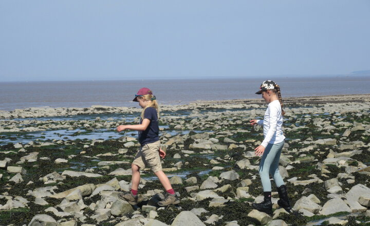 Image of Year 5 Trip to Kilve 2025!