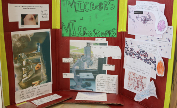 Image of Years R to 2 Science Fair Winners