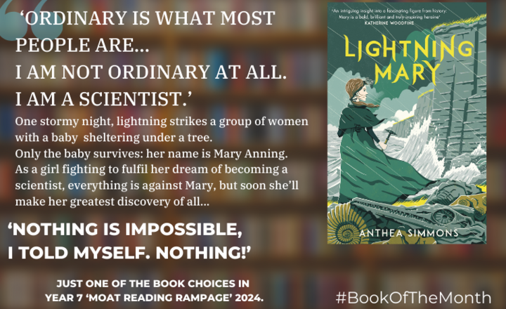 Image of Book of the Month: April 2024 - Anthea Simmons 'Lightning Mary'