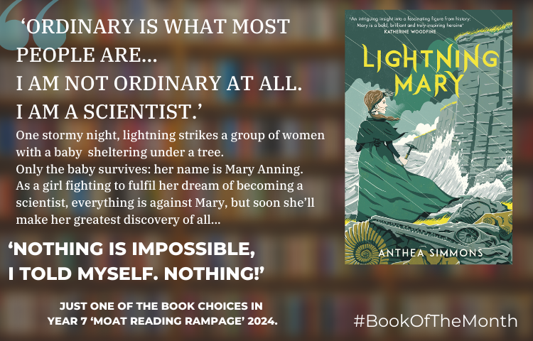 Image of Book of the Month: April 2024 - Anthea Simmons 'Lightning Mary'
